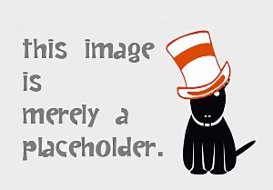 This image is merely a placeholder.